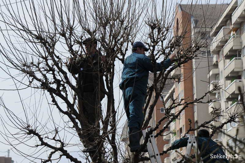 &bullet;  Fotó: Kristó Róbert