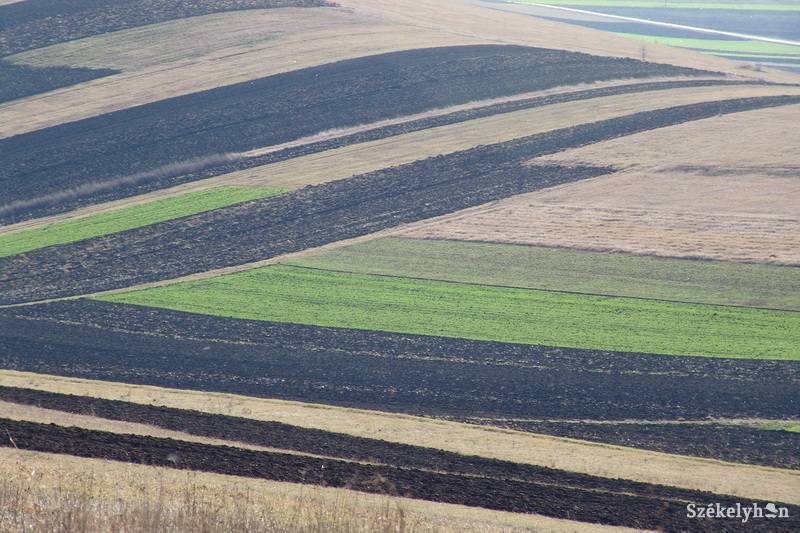 •  Fotó: Kristó Róbert