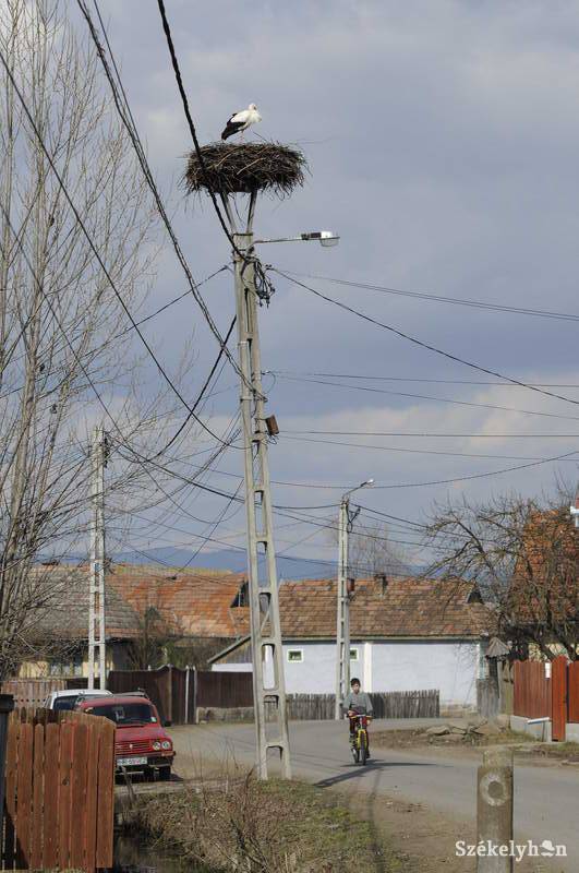 •  Fotó: Kristó Róbert