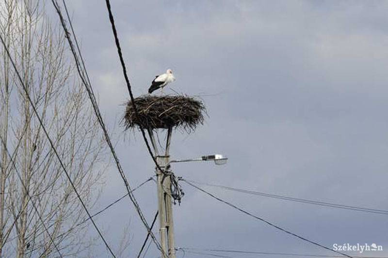 • Fotó: Kristó Róbert