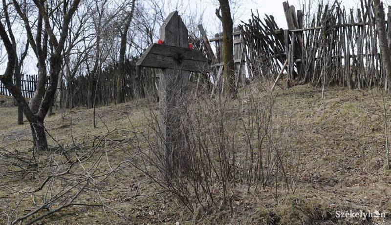 •  Fotó: Kristo Robert