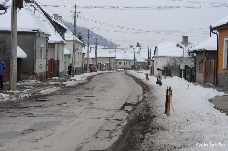 •  Fotó: Kristo Robert                       