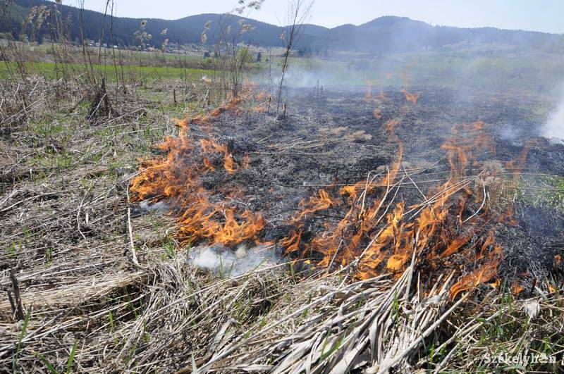 &bullet;  Fotó: Kristo Robert                       