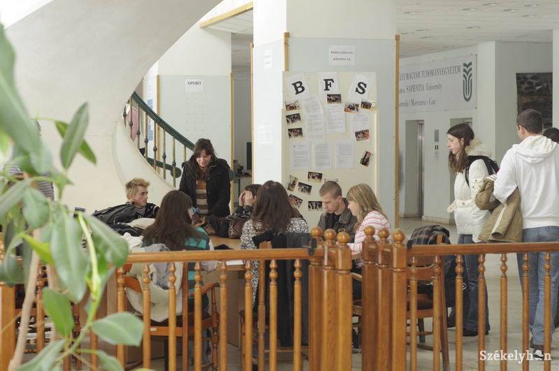 • Fotó: Kristo Robert