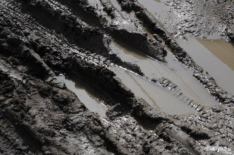 • Fotó: Kristo Robert