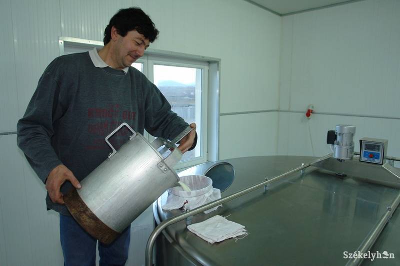 •  Fotó: Kristó Róbert