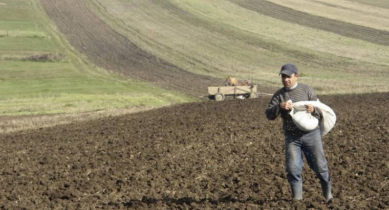 Búza nélkül hagyhat a tavaszias november