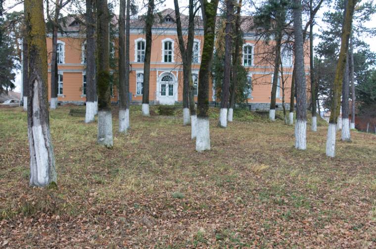 A régi kórházba költözne a fertőző