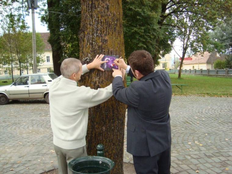 A szélrózsa minden irányából