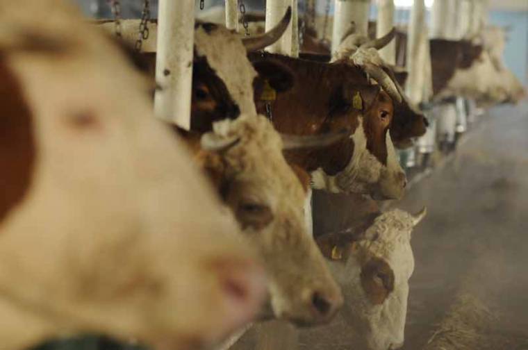 Látszik még a fény az alagút végén?