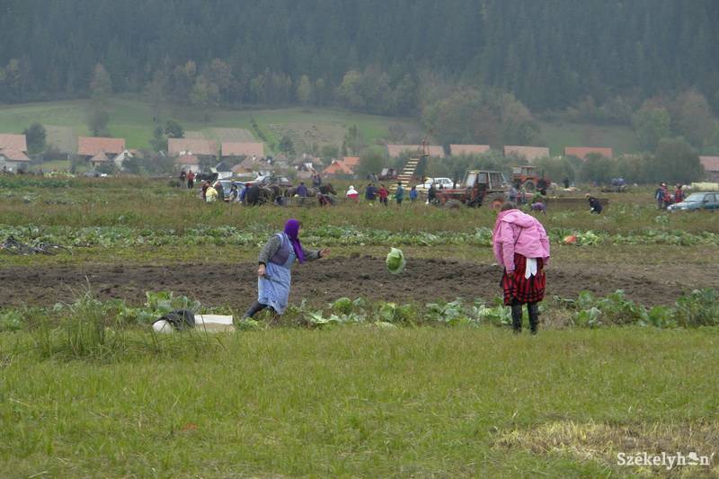 • Fotó: Jancsó László