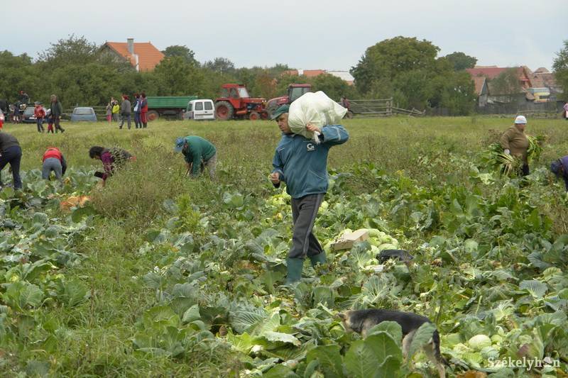 •  Fotó: Jancsó László