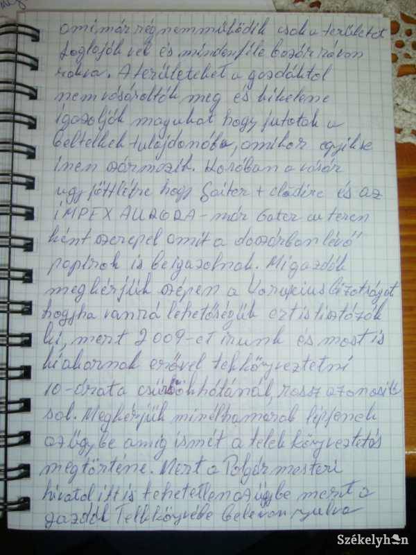 •  Fotó: Daczó Katalin