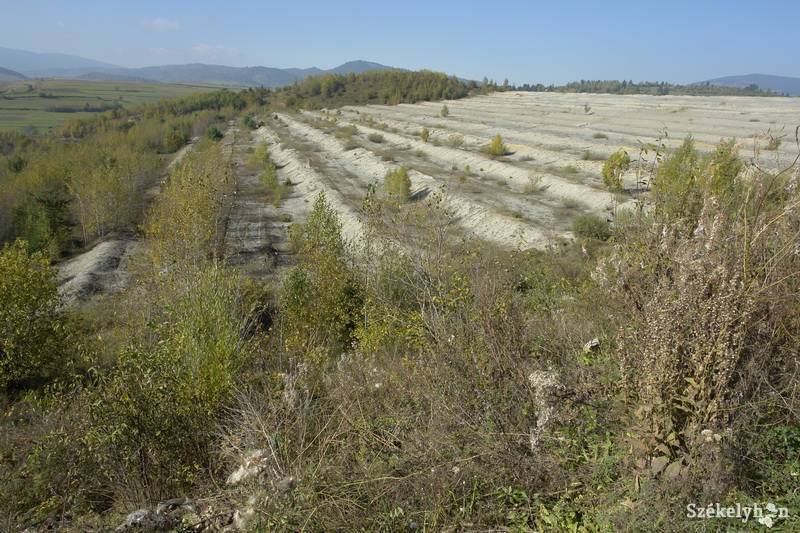 •  Fotó: Kristó Róbert