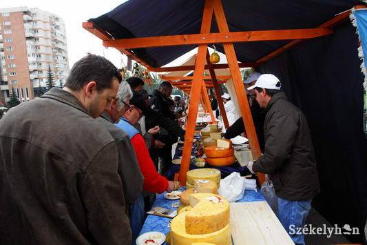 •  Fotó: Jancsó László