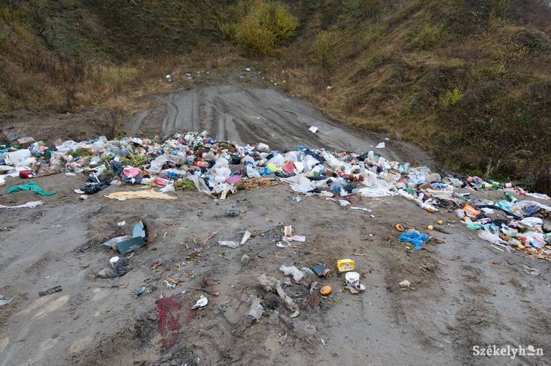 •  Fotó: Kristó Róbert