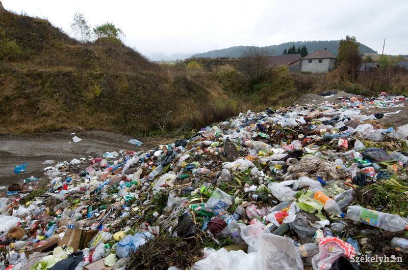 •  Fotó: Kristó Róbert