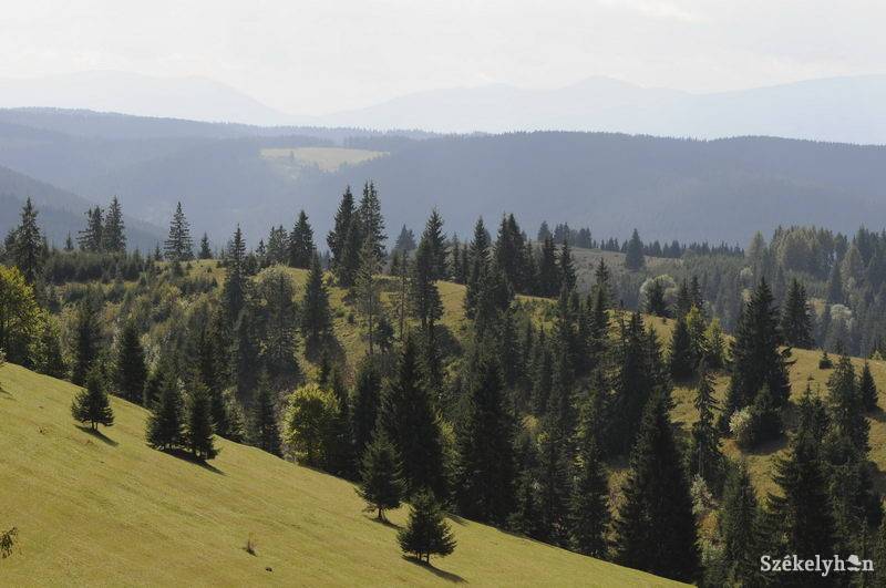 •  Fotó: Kristó Róbert
