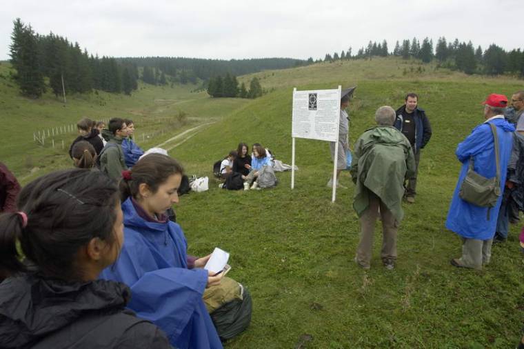 Kirándulás a Diós-hegyre