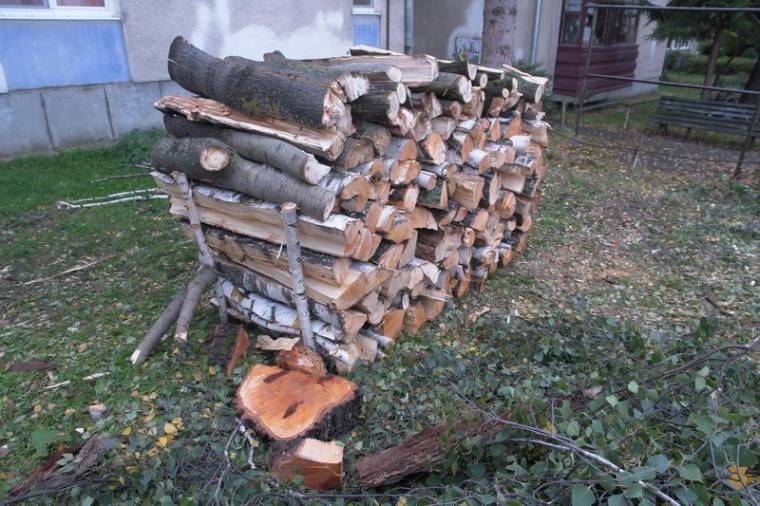 Engedély nélkül vágatott ki fákat a lakószövetség