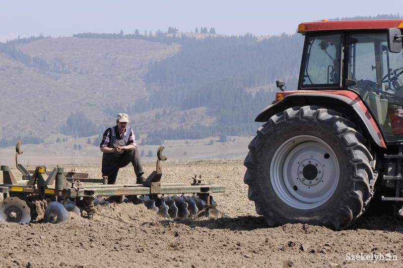 • Fotó: Kristó Róbert