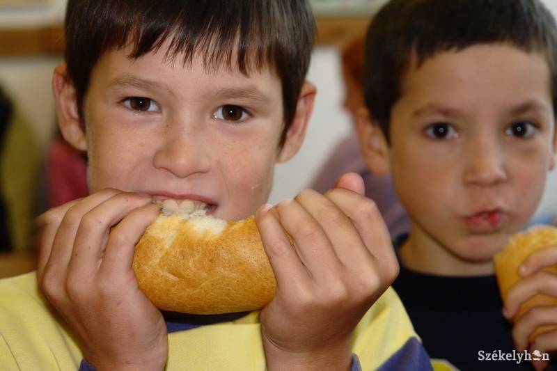 •  Fotó: Kristó Róbert