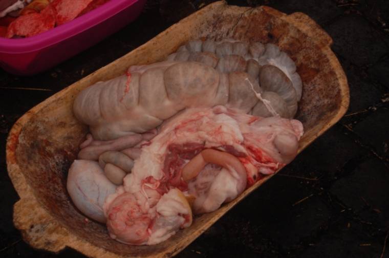 Vadhúsban is találtak trichinellát Háromszéken