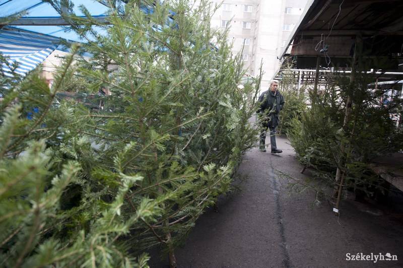 &bullet;  Fotó: Kristó Róbert