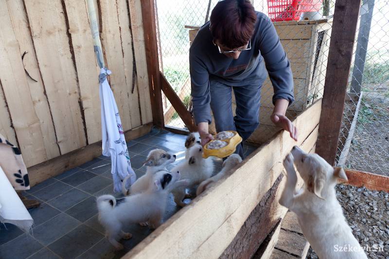 • Fotó: Biró Zoltán
