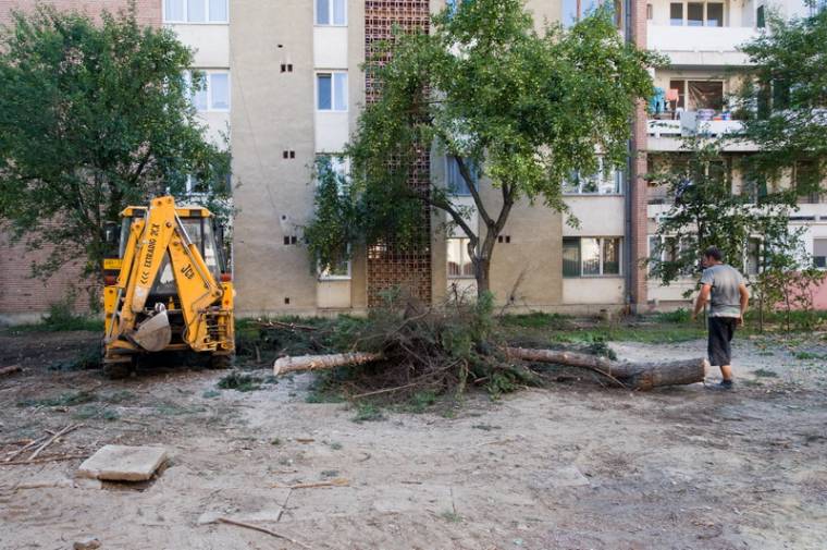 Fákat vágnak a Jégpálya negyedben is