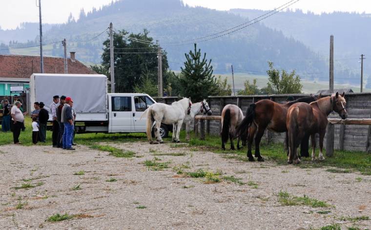 Birtokba vették a gazdák a kozmási barompiacot