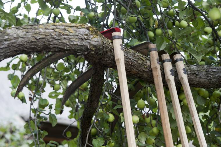 Saját kaszája végzett a kerékpárossal