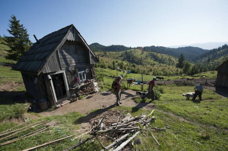 Teheneket ölt a medve, de a kilövésre várni kell