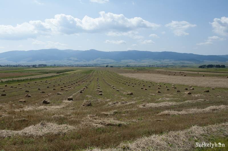 &bullet;  Fotó: Kristó Róbert