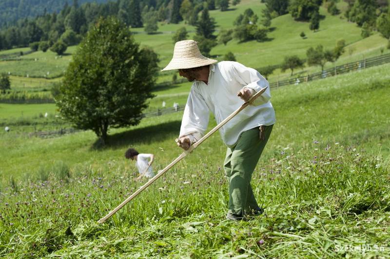 Illusztráció &bullet;  Fotó: Kristó Róbert