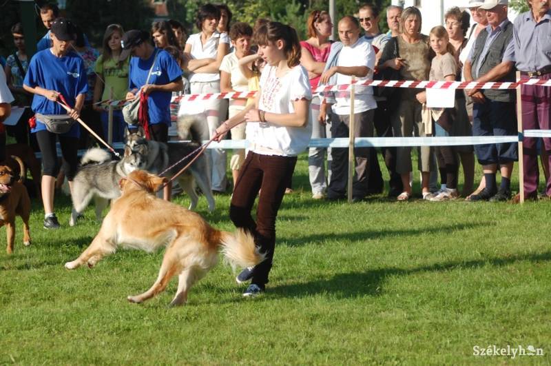 •  Fotó: Iochom Zsolt