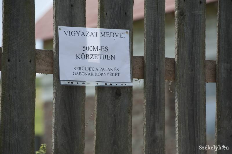 •  Fotó: Kristó Róbert