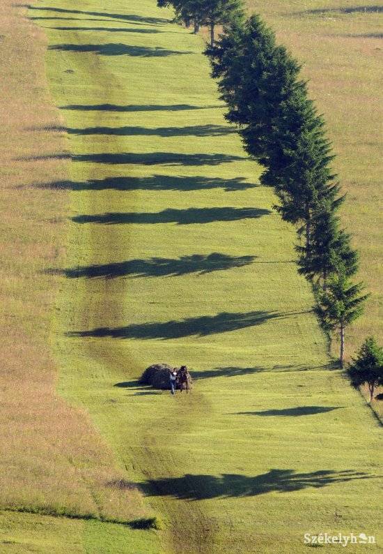 •  Fotó: Kristó Róbert