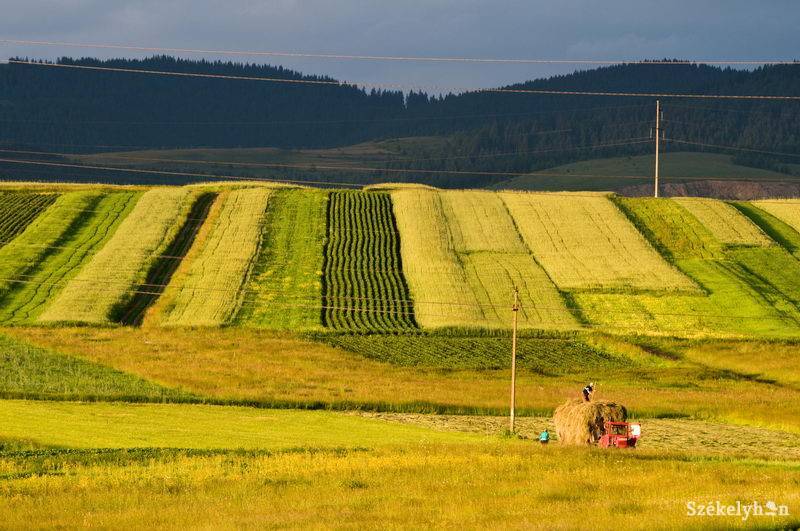 • Fotó: Kristó Róbert