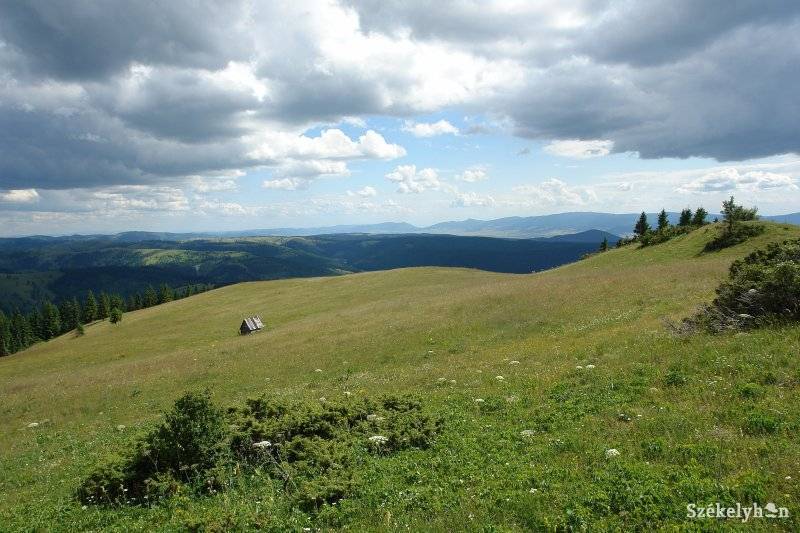 &bullet;  Fotó: Kristó Róbert