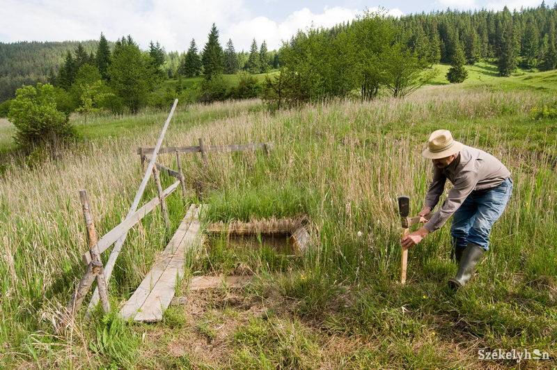 • Fotó: Kristó Róbert