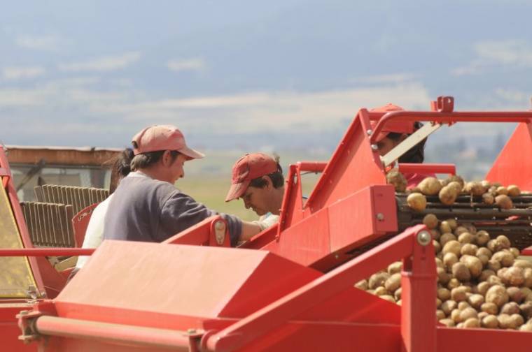 Kiért lesznek az agrárkamarák?