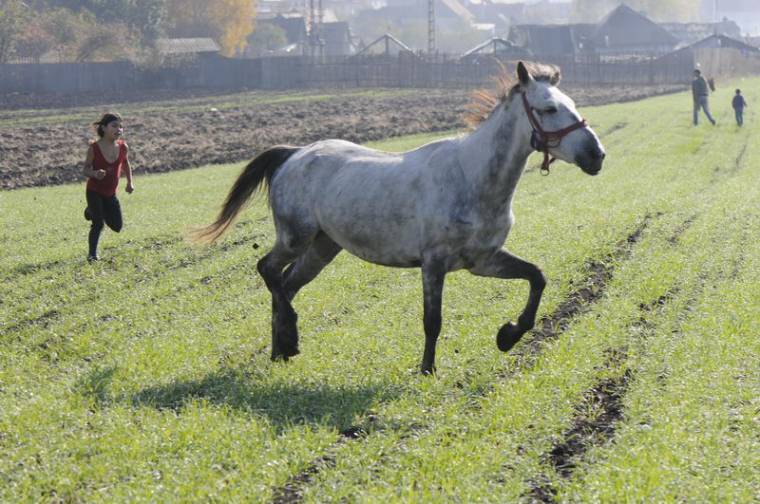 Problémás lakók a Kegytemplom árnyékában