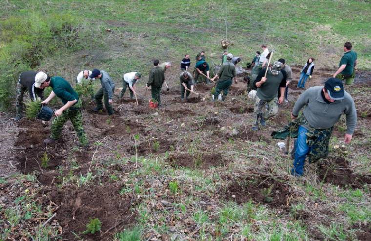 Már nyereséget termel a csemetekert