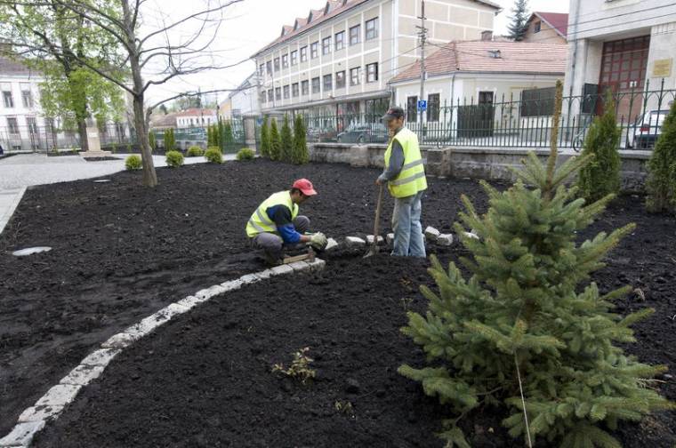 Udvarbulival avatják az új környezetet