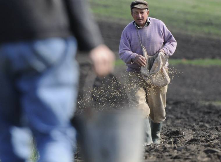Nem felesleges a talajvizsgálat