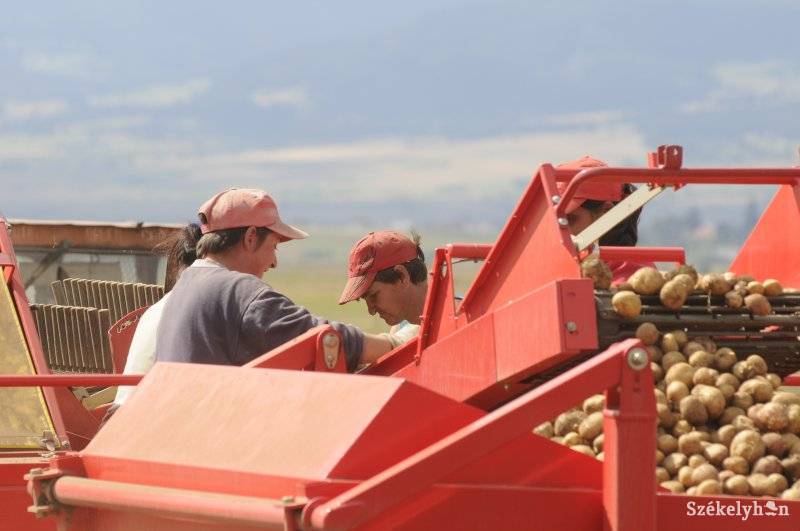 •  Fotó: Kristó Róbert