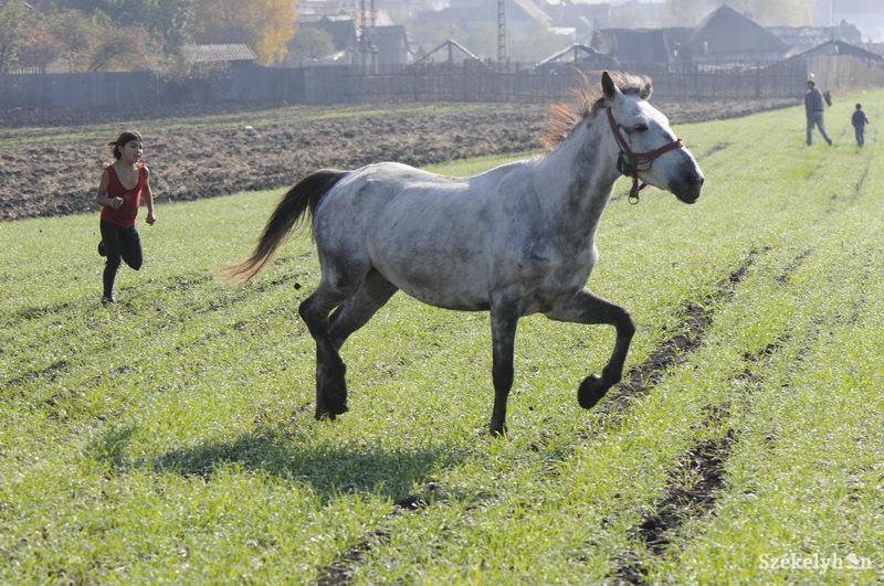 &bullet;  Fotó: Kristó Róbert