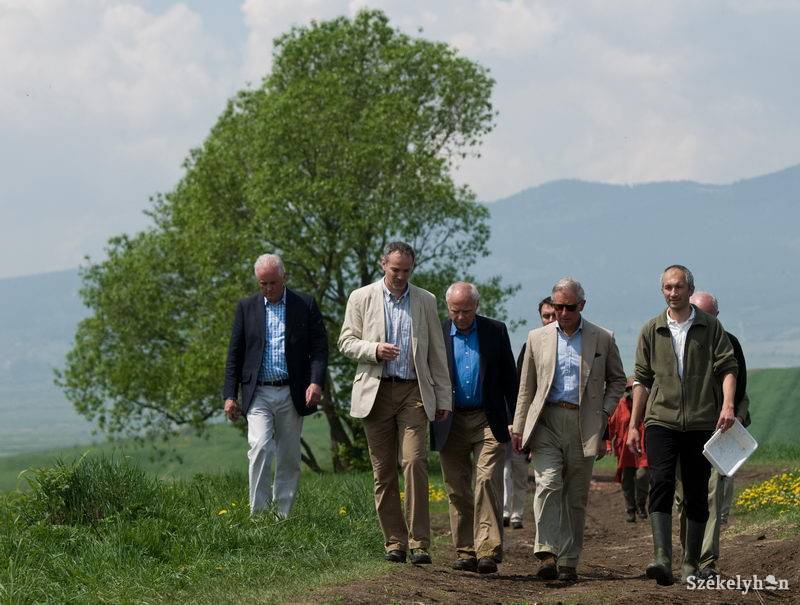 • Fotó: Kristó Róbert