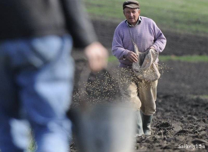 •  Fotó: Kristó Róbert